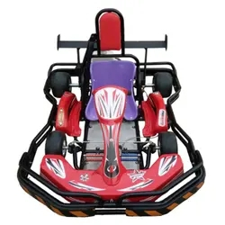 Great Amusement Rides Two Seats Racing Facilities Indoor Racer Electric Karting 400w Motor 48V Battery Outdoor Fuel Go-karts